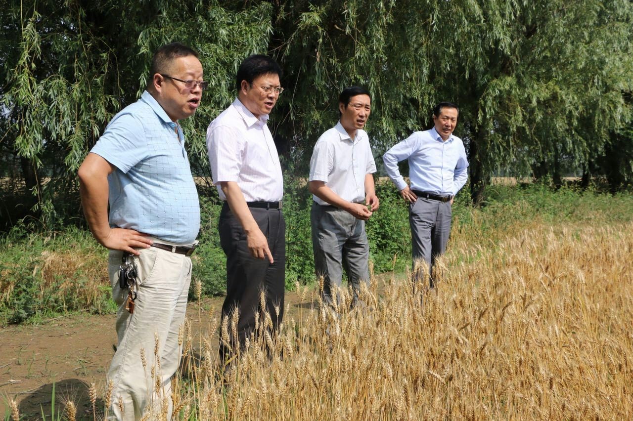 省國(guó)資委黨委書(shū)記孫安會(huì)蒞臨糧農(nóng)集團(tuán)視察指導(dǎo)工作