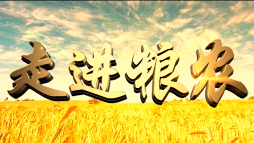 4分鐘，閱讀奮斗崛起中的糧農(nóng)集團(tuán)！